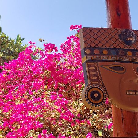 Lunahuaná La Fortaleza Del Inca מראה חיצוני תמונה